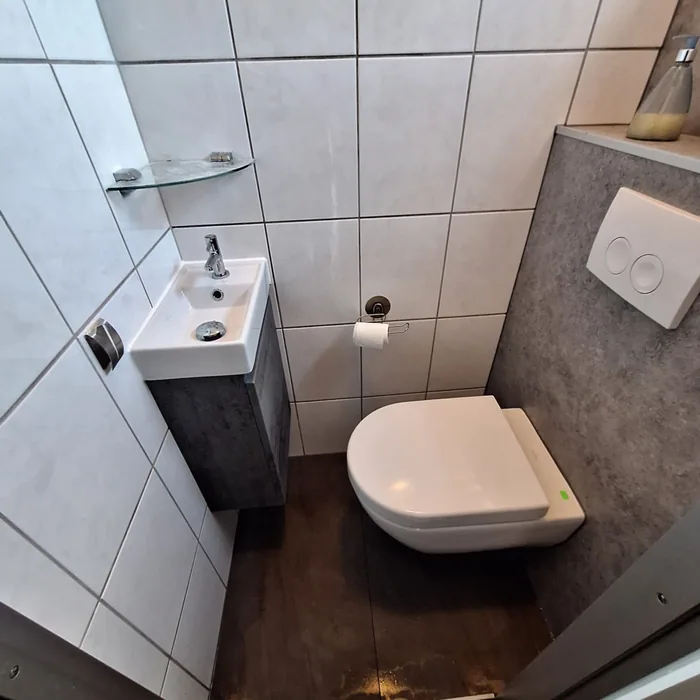 Kleine wc met hangtoilet, grijze voorzetwand met drukplaat en een fonteintje op een kastje